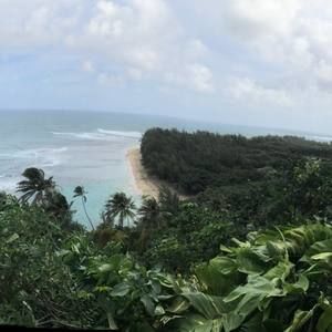 Meet your Posher, Brady